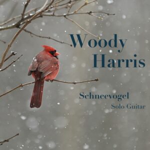 Schneevogel final cover copy