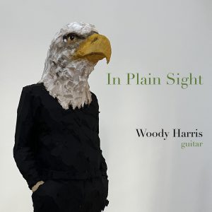 In-Plain-Sight-cover-